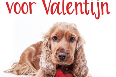 Een puppy voor Valentijn – Simone Luijten