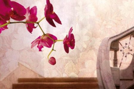 De orchideeëntuin – Lucinda Riley