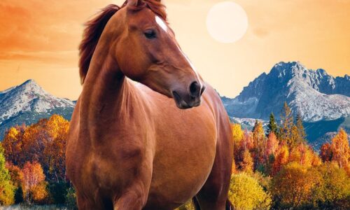 Interview: Margje Woodrow - Thrillers and More