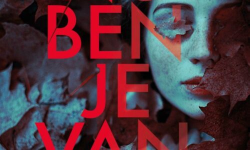 MAX Gouden & Bronzen Vleermuis 2020: shortlist - Thrillers and More