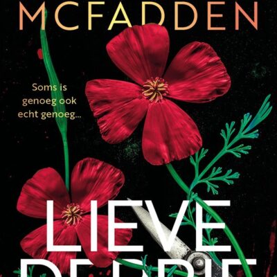 Lieve Debbie – Freida McFadden