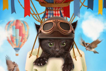 Hamley in de luchtballon – Sandra J. Paul