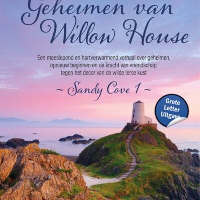 Geheimen van Willow house – Susanne O’Leary